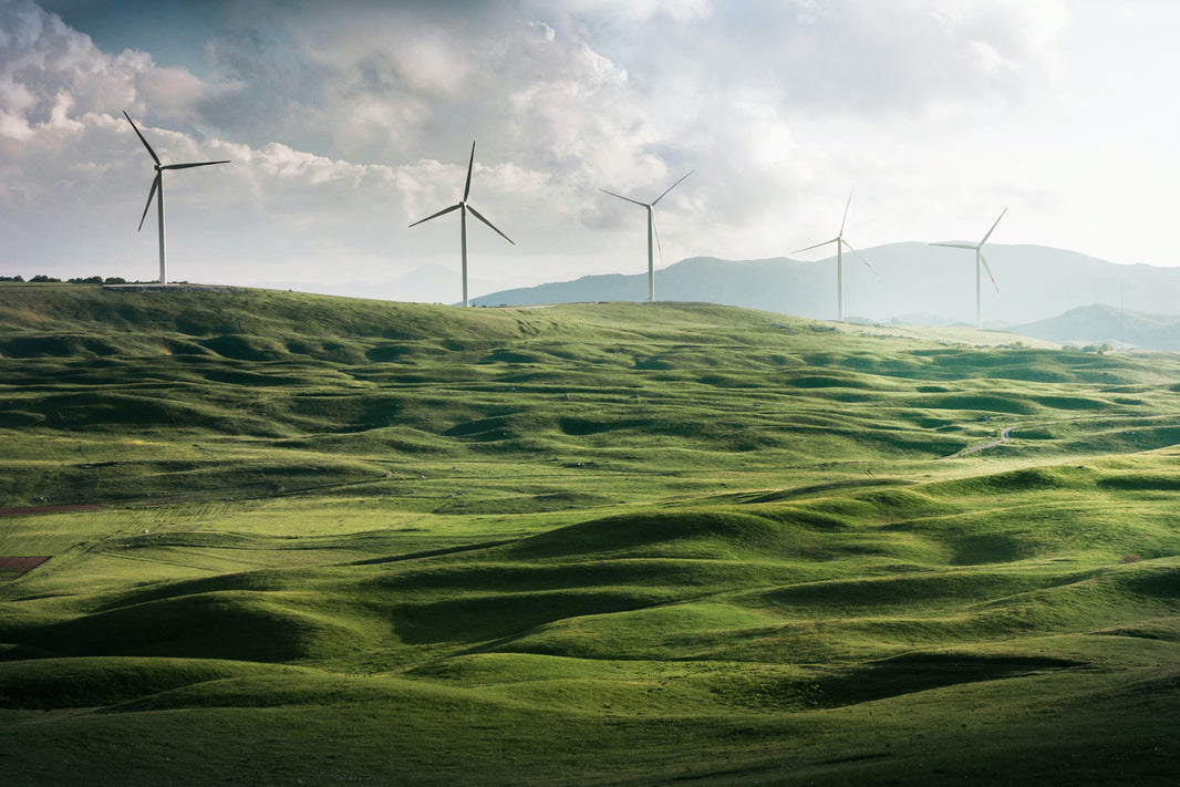 Harnessing Data Loggers for Enhanced Wind Turbine Manufacturing and Operation: Temperature Monitoring in Blade Manufacturing and Beyond