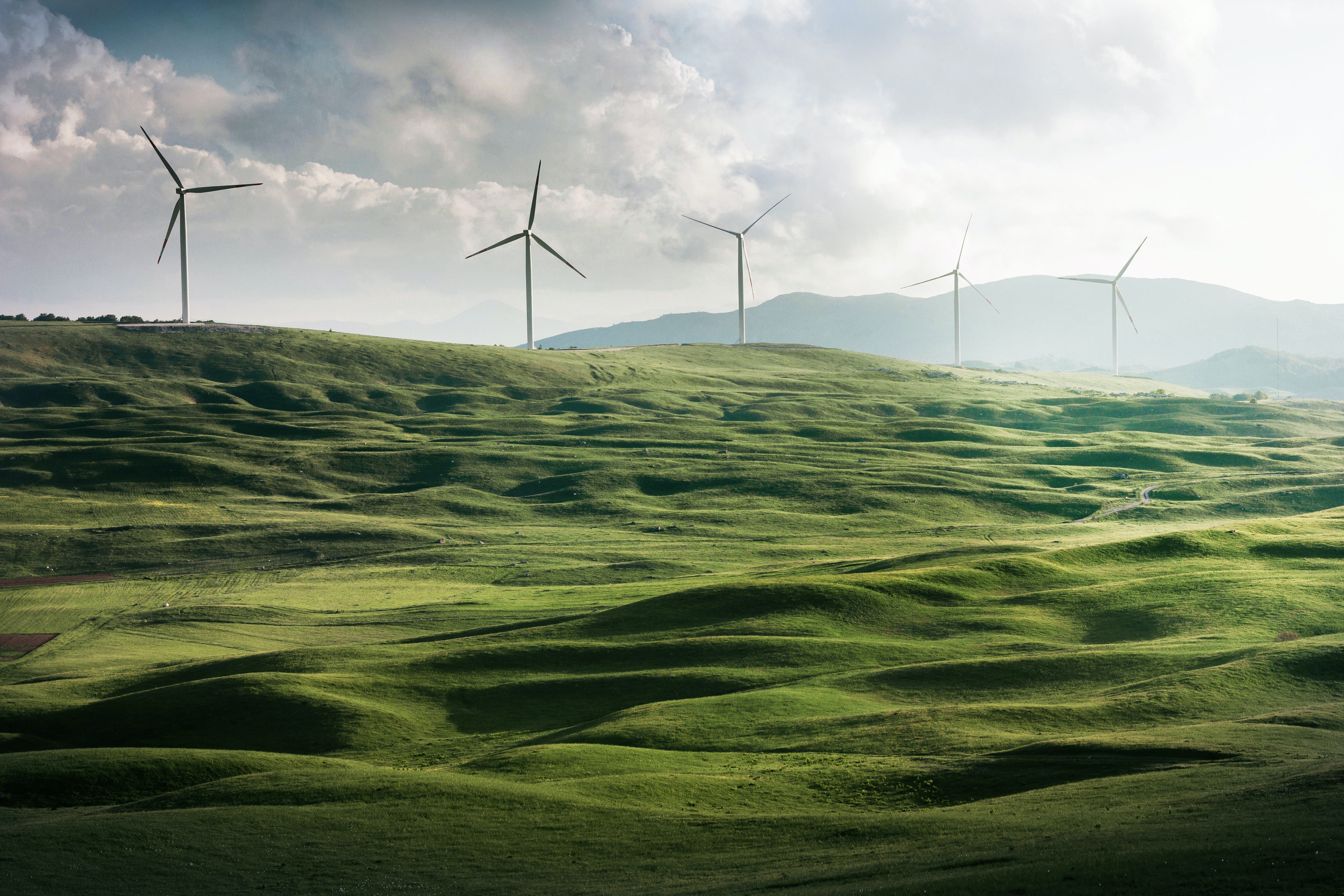 Harnessing Data Loggers for Enhanced Wind Turbine Manufacturing and Operation: Temperature Monitoring in Blade Manufacturing and Beyond