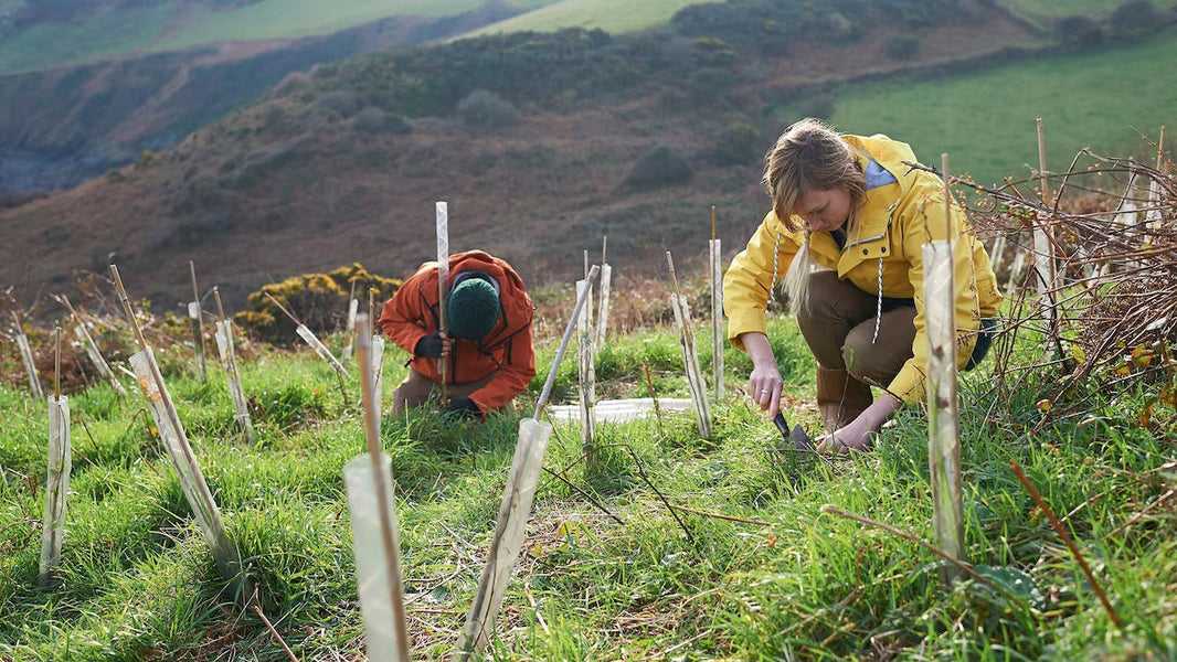 Case study: Climate change impacts on seed germination of threatened plants. National Parks Conservation Trust.