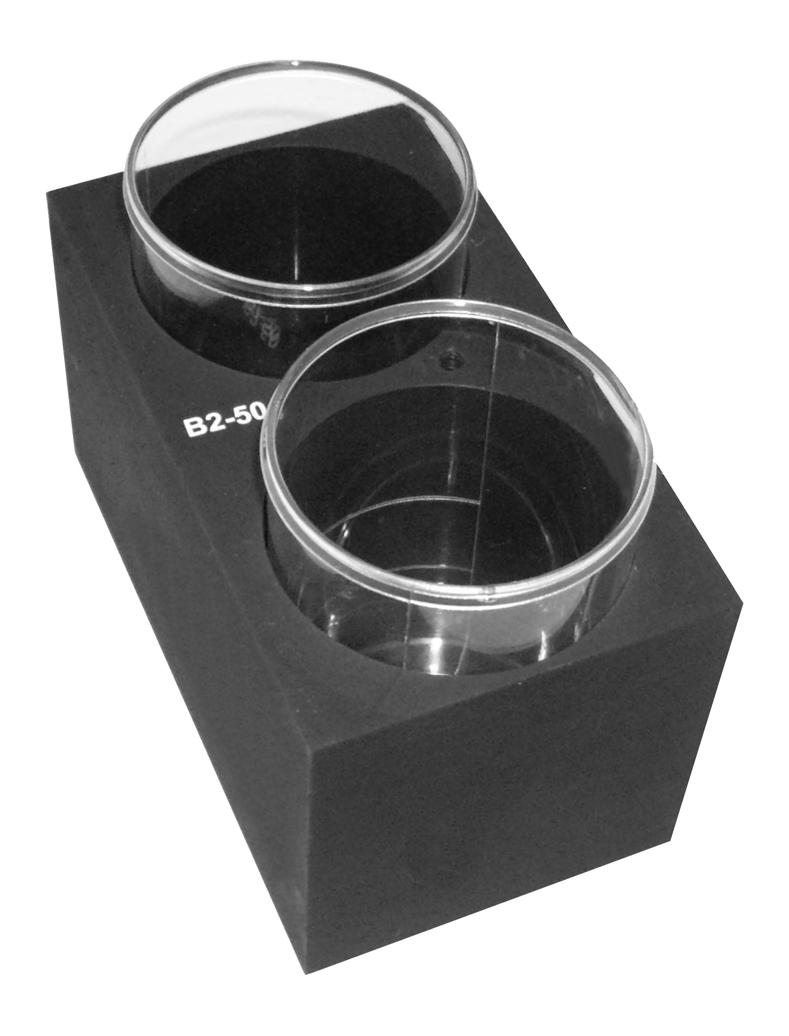 B2-50